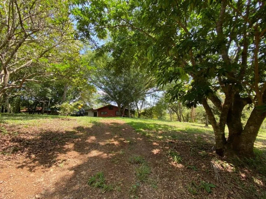 Venta de Finca Tipo Quinta con Casa en Mora, San José. RAH 24-1607 - Venta en Mora