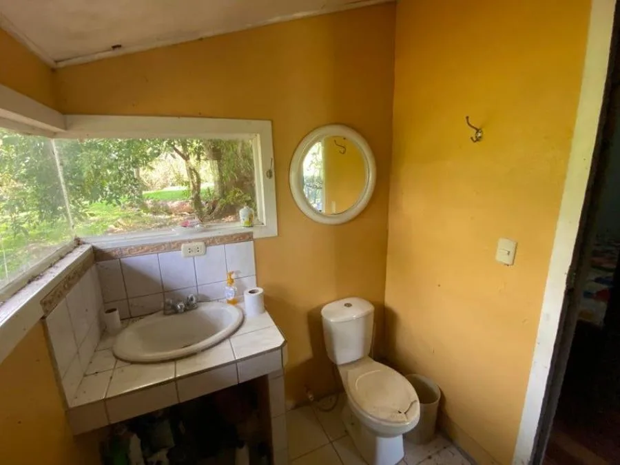 Venta de Finca Tipo Quinta con Casa en Mora, San José. RAH 24-1607 - Venta en Mora — photo 3