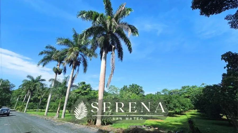 LOTES PLANOS EN SERENA SAN MATEO NUEVA COMUNIDAD EXCLUSIVA - Venta en San Mateo