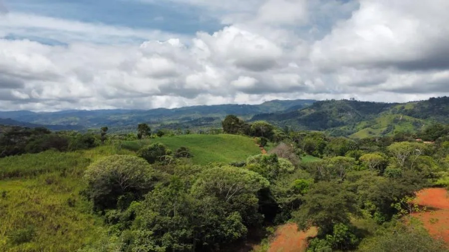 SE VENDE LOTE DE 1000 M² IDEAL PARA CONSTRUCCIÓN - Venta en Perez Zeledón — photo 3