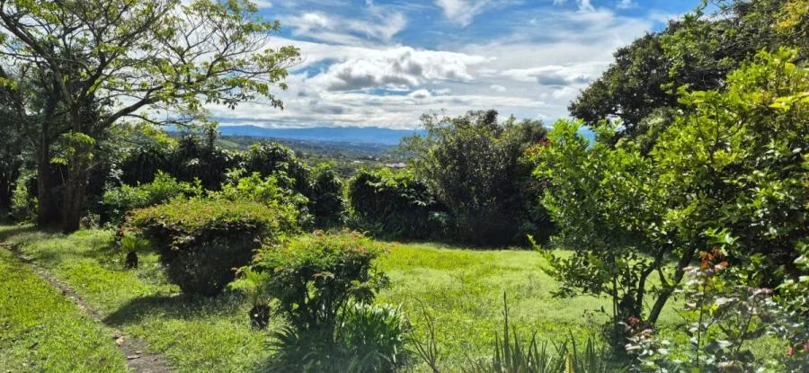 Venta Terreno con Vista Alajuela,Grecia HA #25-1138 - Venta en Grecia