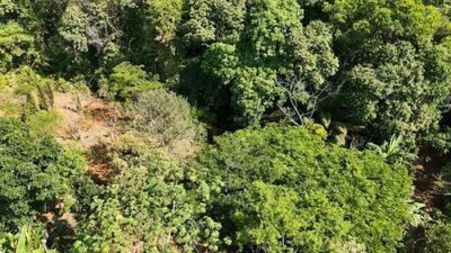 Tesoro de terreno en venta con precio reducido en PEREZ ZELEDON - Venta en Perez Zeledón — photo 2