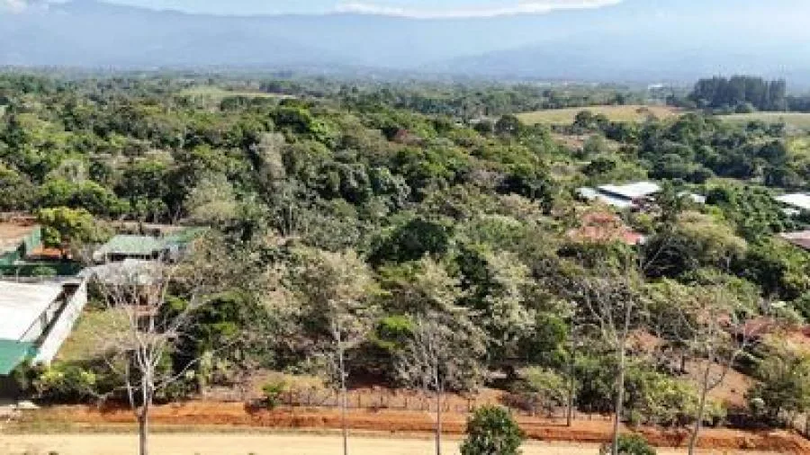 Tesoro de terreno en venta con precio reducido en PEREZ ZELEDON - Venta en Perez Zeledón — photo 4