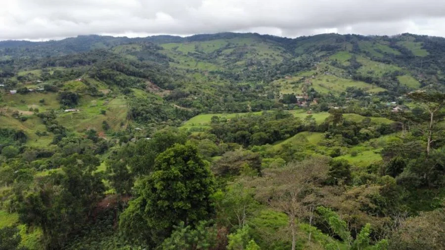 VENTA DE LOTE CON VISTAS DE ENSUEÑO EN PLATANARES - Venta en Perez Zeledón — photo 3