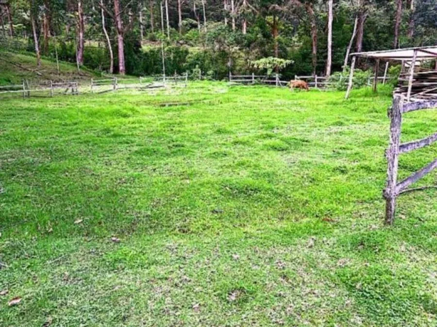 MLS-26-74 LS VENTA LOTE CON CASA DOTA SAN JOSE - Venta en Dota — photo 5