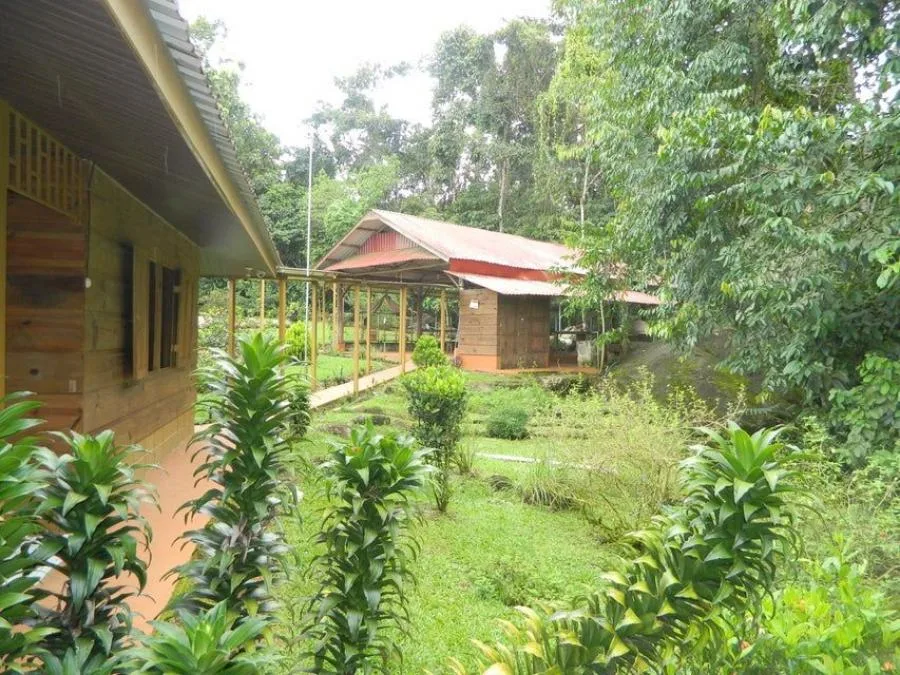 CASA EN VENTA EN PEREZ ZELEDON, cod: CTL 23-3548 - Venta en Perez Zeledón — photo 2