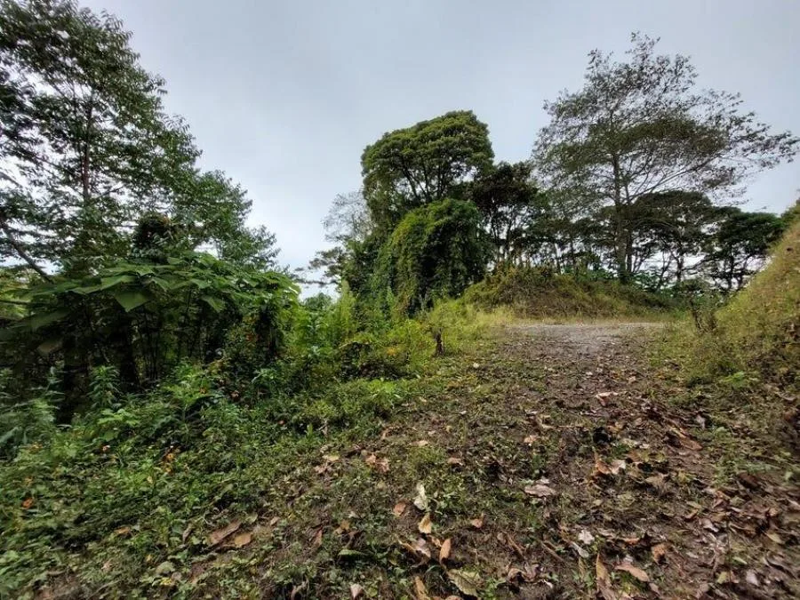 Venta de Lote en Vazquez de Coronado. - Venta en Vasquez de Coronado