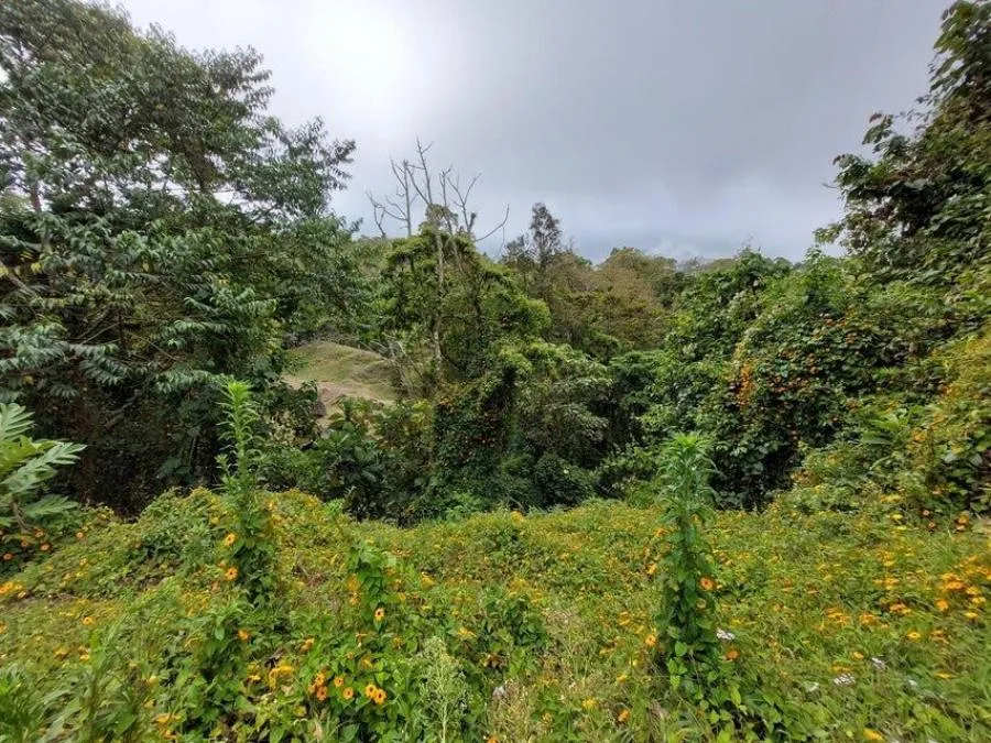 Venta de Lote en Vazquez de Coronado. - Venta en Vasquez de Coronado — photo 3