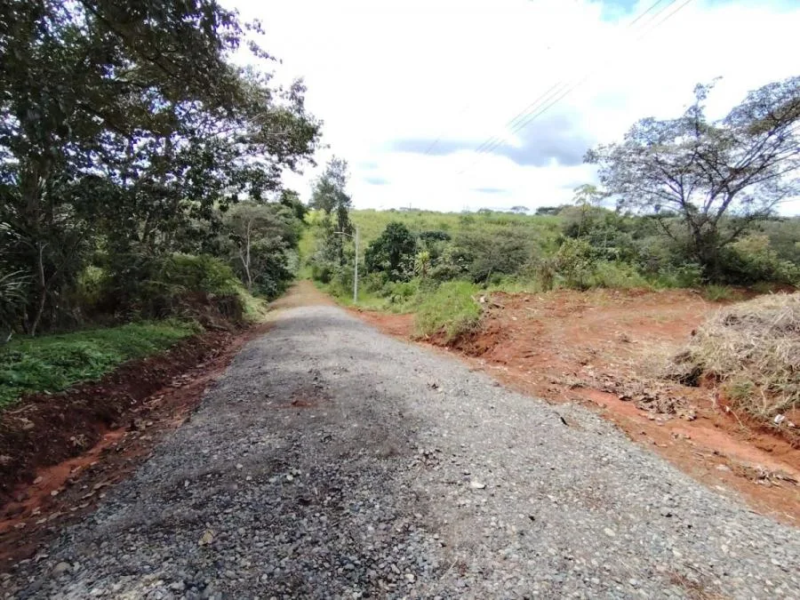 INVERSIÓN SEGURA: LOTES CERCA DE COLEGIOS Y SERVICIOS - Venta en Perez Zeledón — photo 4