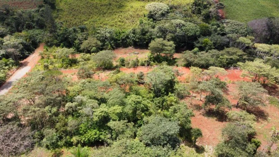 INVERSIÓN SEGURA: LOTES CERCA DE COLEGIOS Y SERVICIOS - Venta en Perez Zeledón — photo 5