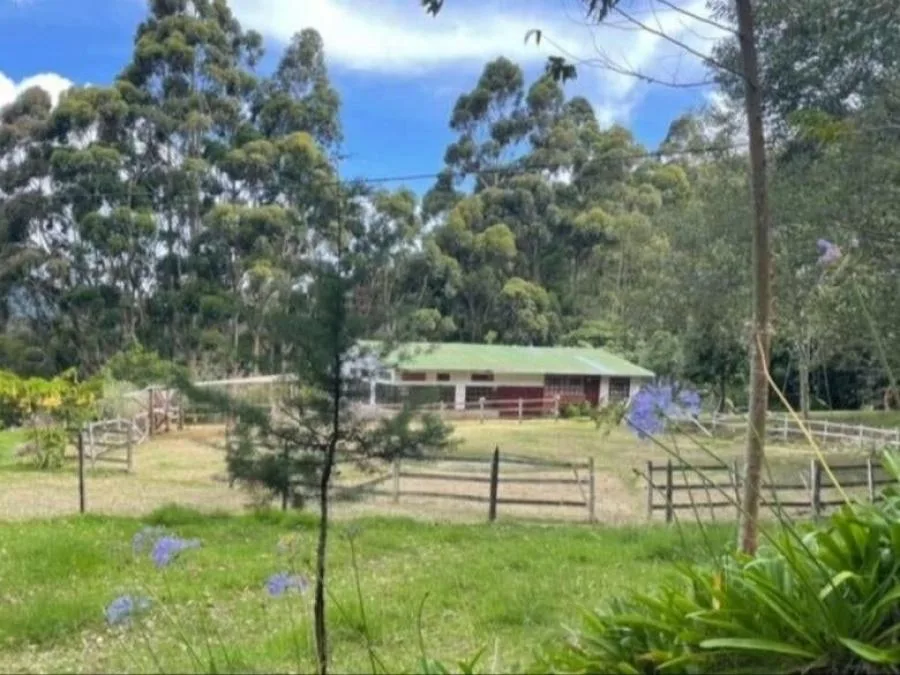  Venta de finca con casa campestre en Copey, Dota. RAH 26-74 NR - Venta en Dota — photo 2