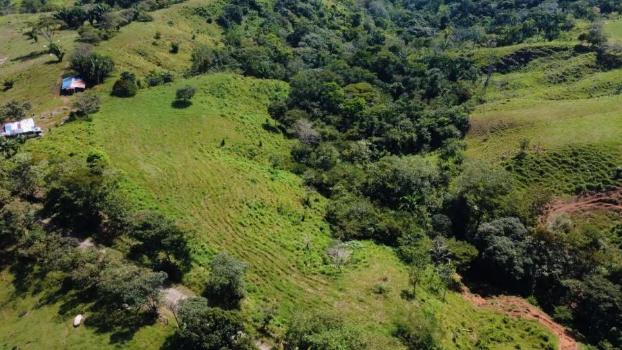 HERMOSA FINCA DE 8 HECTÁREAS EN BUENOS AIRES, PUNTARENAS - Venta en Buenos Aires