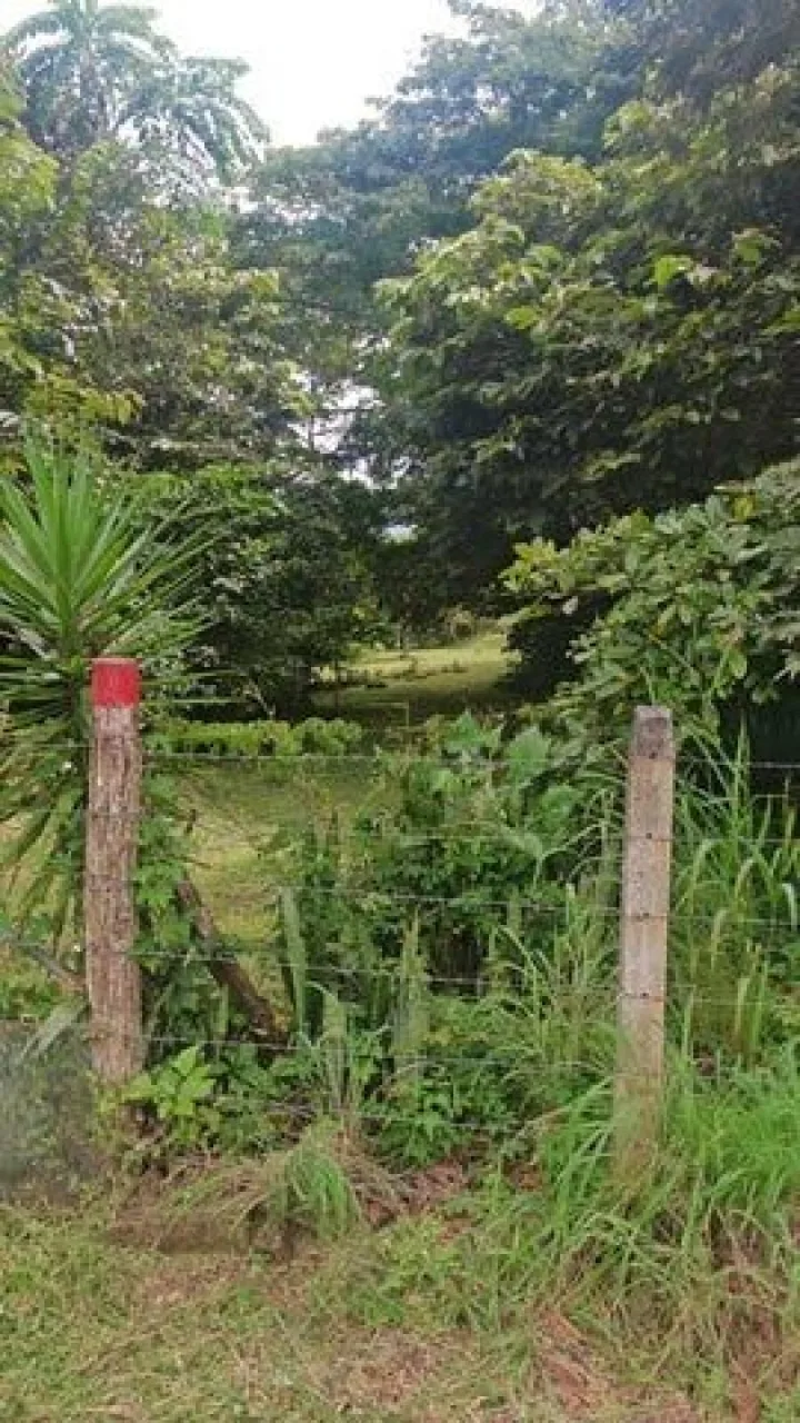 Venta de Lote en Turrubares, San José. RAH 26-1269 - Venta en Turrubares — photo 3