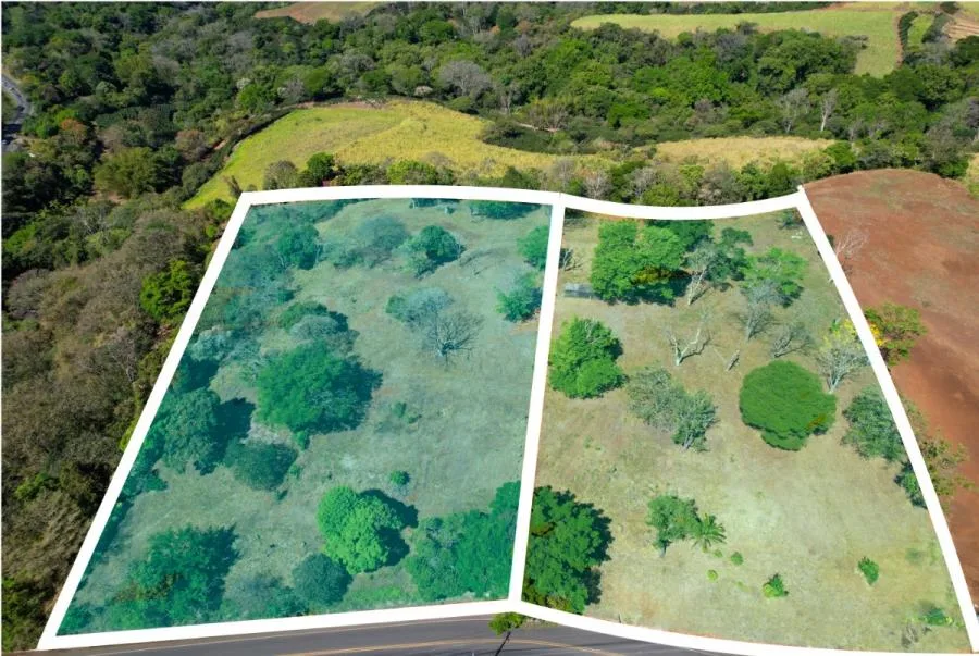 Lote en Venta en Grecia – 10,000 m² con Uso Mixto - Venta en Grecia