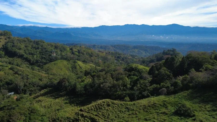 FINCA EN VENTA EN PÉREZ ZELEDÓN – GRAN POTENCIAL DE DESARROLLO - Venta en Perez Zeledón — photo 2