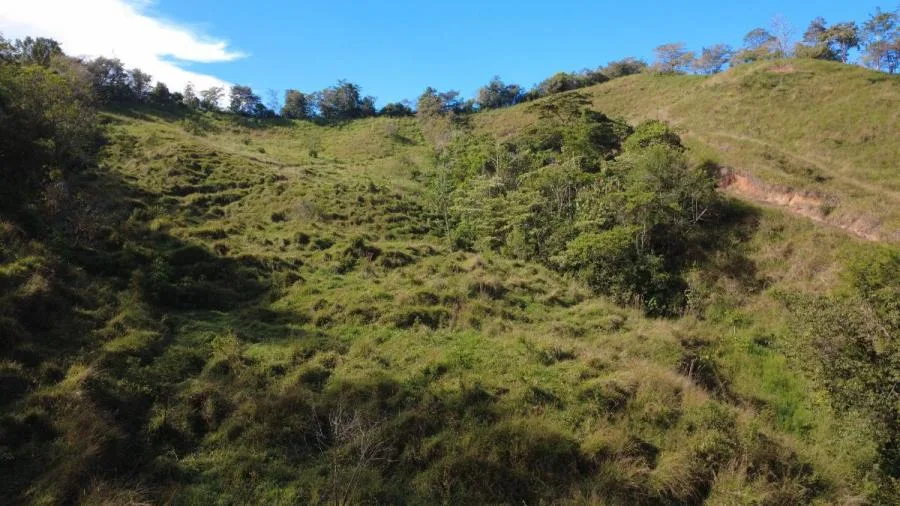 FINCA EN VENTA EN PÉREZ ZELEDÓN – GRAN POTENCIAL DE DESARROLLO - Venta en Perez Zeledón — photo 3