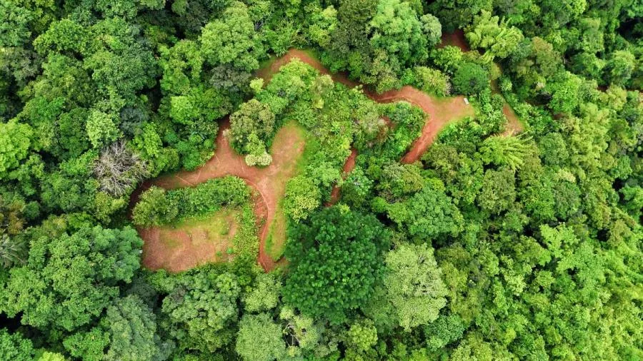FOR SALE: 31,860 M² OCEAN VIEW PROPERTY IN MATAPALO, QUEPOS - Venta en Quepos