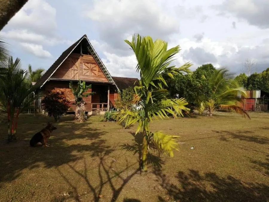venta de casa en alajuela san carlos - Venta en San Carlos