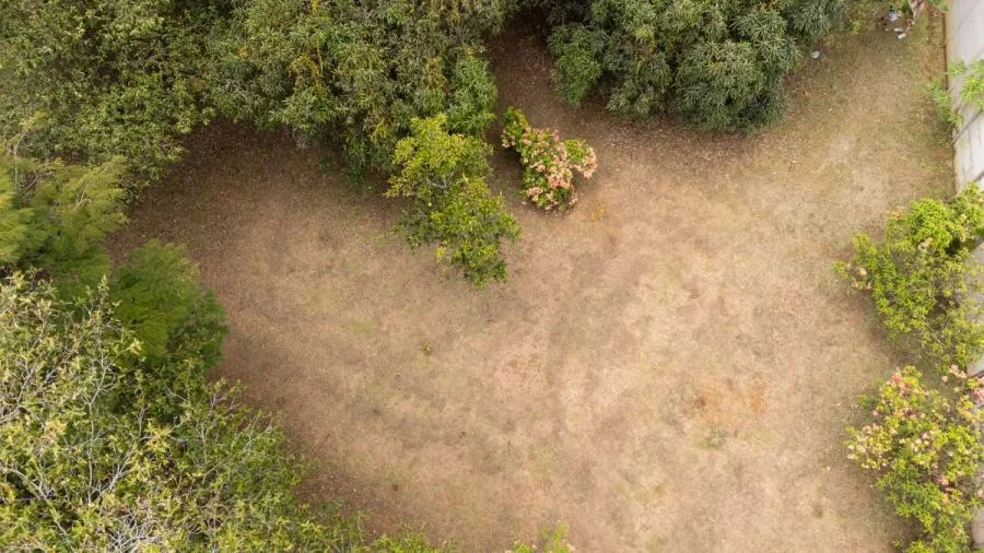 ESPACIOSO LOTE A LA VENTA EN LA LUCHA, PÉREZ ZELEDÓN - Venta en Perez Zeledón — photo 4
