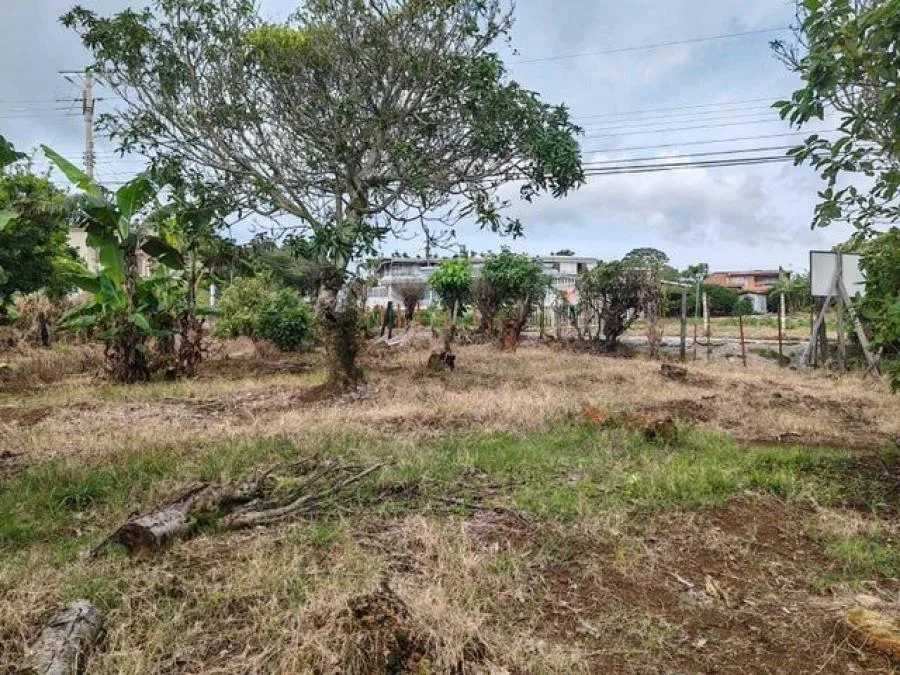 Oficina En Alquiler De 95 M² En Oficentro En Escazú; Idi: 135666 - Alquiler / Renta en San Rafael — photo 2