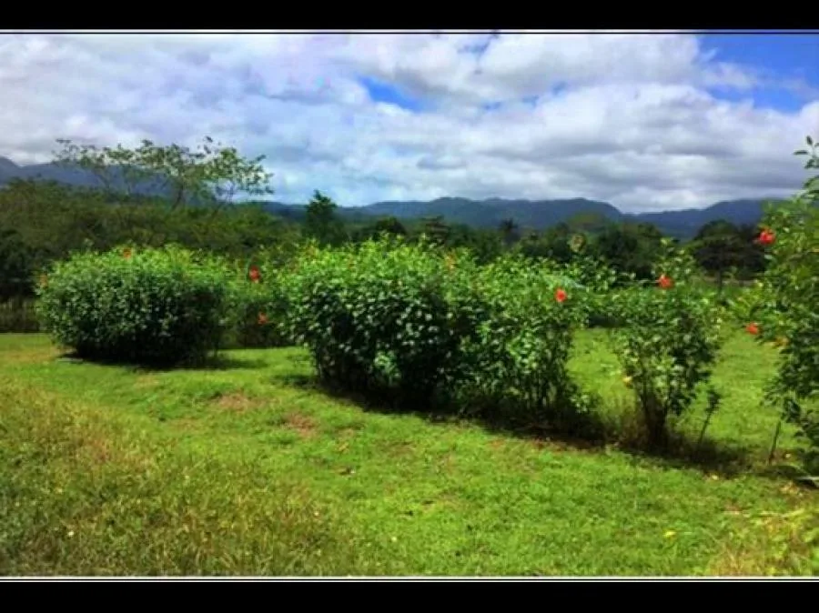 VENTA DE LOTE, ALAJUELA, SAN CARLOS, CHACHAGUA. - Venta en San Carlos