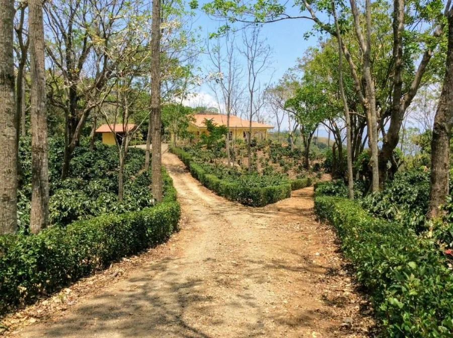 Venta de Casa en Puriscal, San Josê. RAH 25-1869 - Venta en Puriscal — photo 5
