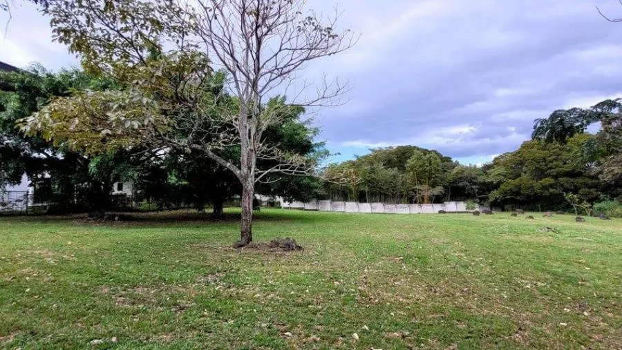 Oficina En Alquiler De 147 M² En Oficentro En Escazú; Idi: 135717 - Alquiler / Renta en San Rafael — photo 3