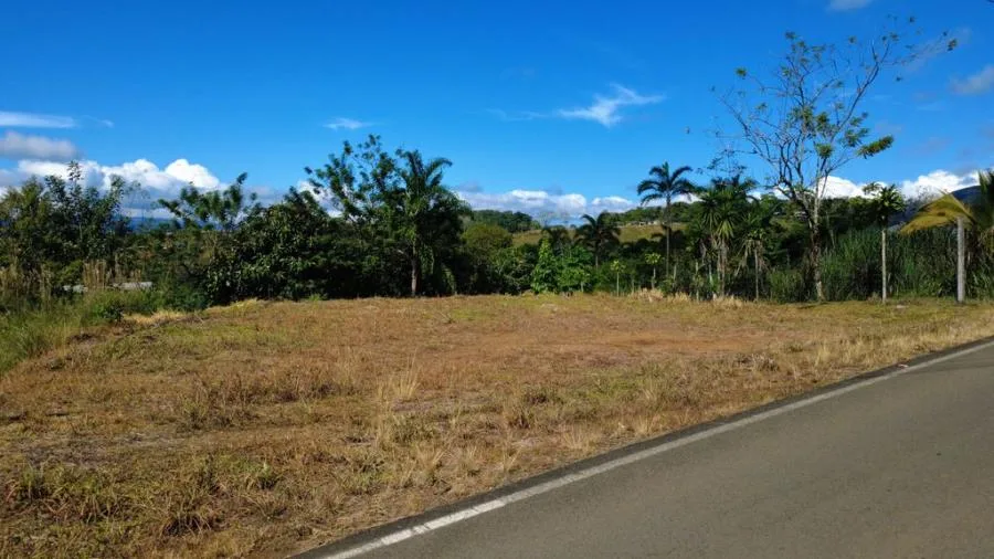 LOTE PLANO EN VENTA EN CAJÓN, PÉREZ ZELEDÓN – 368 m² FRENTE A CALLE PÚBLICA - Venta en Perez Zeledón — photo 3