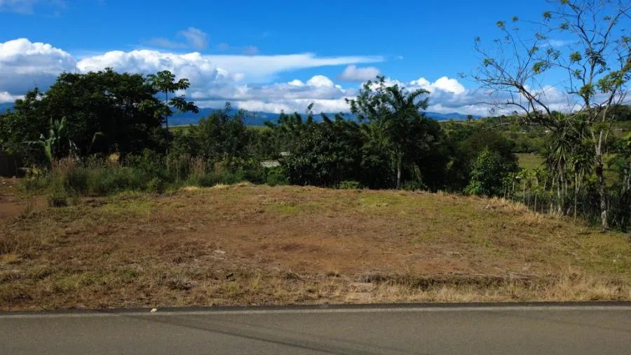 LOTE PLANO EN VENTA EN CAJÓN, PÉREZ ZELEDÓN – 368 m² FRENTE A CALLE PÚBLICA - Venta en Perez Zeledón — photo 5
