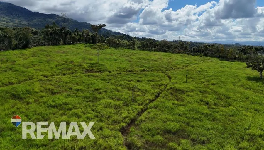 LOTE PREMIUM EN SANTA ELENA – ZONA DE CRECIMIENTO - Venta en Perez Zeledón — photo 4