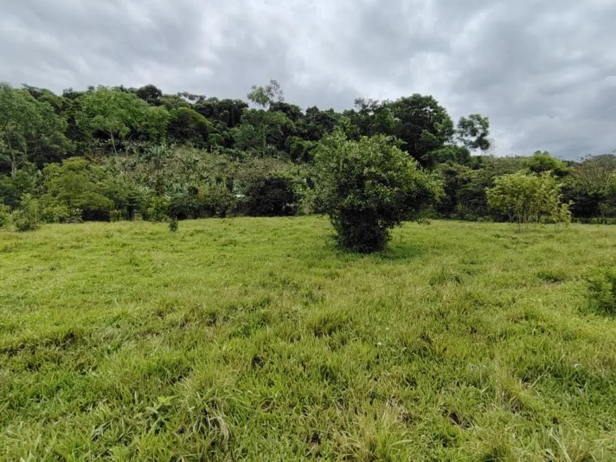 TERRENO 1Ha PLANO,CON NACIENTE Y VISTA AL CHIRRIPO,RIVAS PZ. - Venta en Perez Zeledón