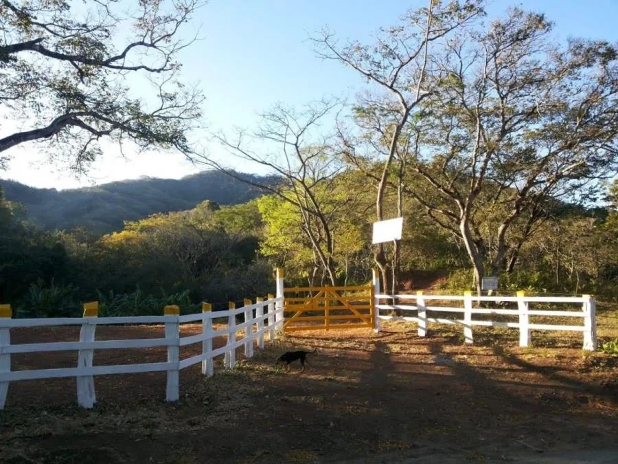 5,000 dólares por hectárea: una oferta que no querrás dejar pasar, finca en Guanacaste. - Venta en Santa Cruz