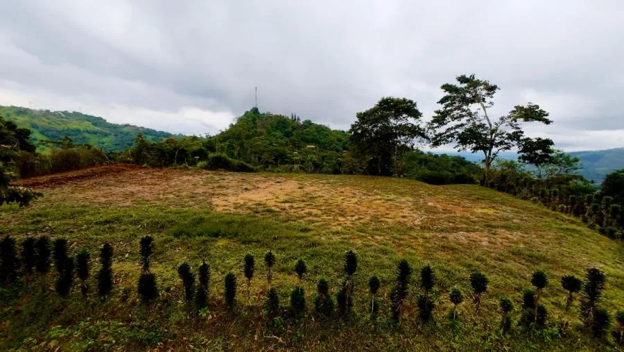 EN VENTA PROPIEDAD EN COSTA RICA CON VISTAS Y NACIENTE. - Venta en Perez Zeledón