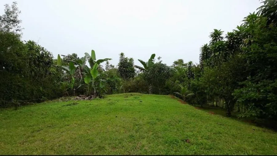 EN VENTA PROPIEDAD EN COSTA RICA CON VISTAS Y NACIENTE. - Venta en Perez Zeledón — photo 5