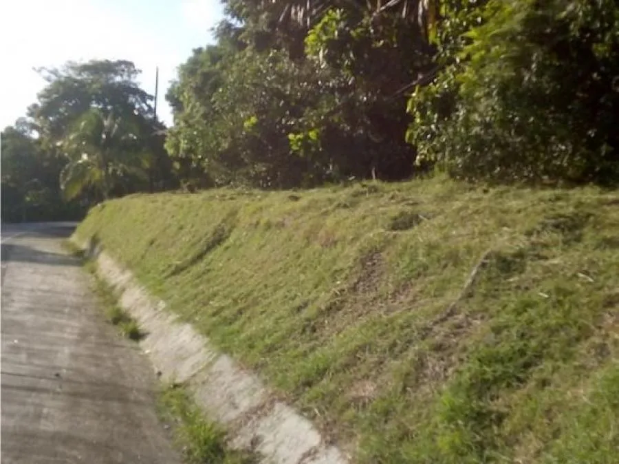 VENTA DE FINCA, PUNTARENAS, GOLFITO - Venta en Golfito