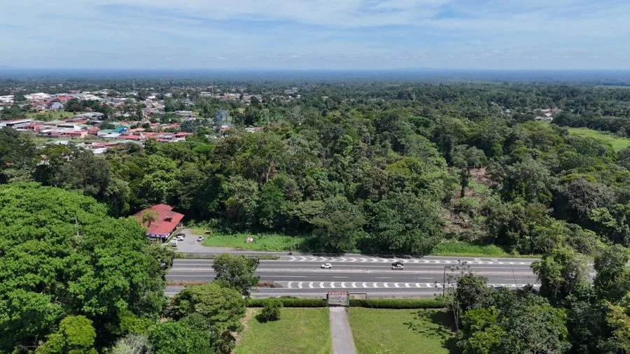 VENTA DE FINCA ALTA DENSIDAD Y COMERCIAL, LIMÓN, GUÁPILES - 9583360 - Venta en Guápiles