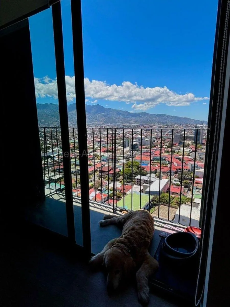 Apartamento amueblado contemporáneo con vista a la ciudad en torre moderna #26-1708 GS - Alquiler / Renta en San José — photo 2