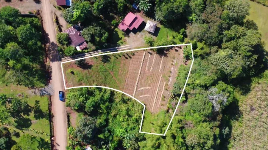 LOTE PLANO EN VENTA EN LAS MERCEDES DE CAJÓN, PÉREZ ZELEDÓN – 3.121 m² CON RÍO - Venta en Perez Zeledón — photo 2
