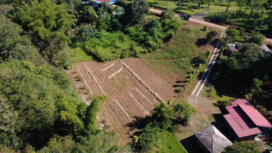 LOTE PLANO EN VENTA EN LAS MERCEDES DE CAJÓN, PÉREZ ZELEDÓN – 3.121 m² CON RÍO - Venta en Perez Zeledón — photo 3