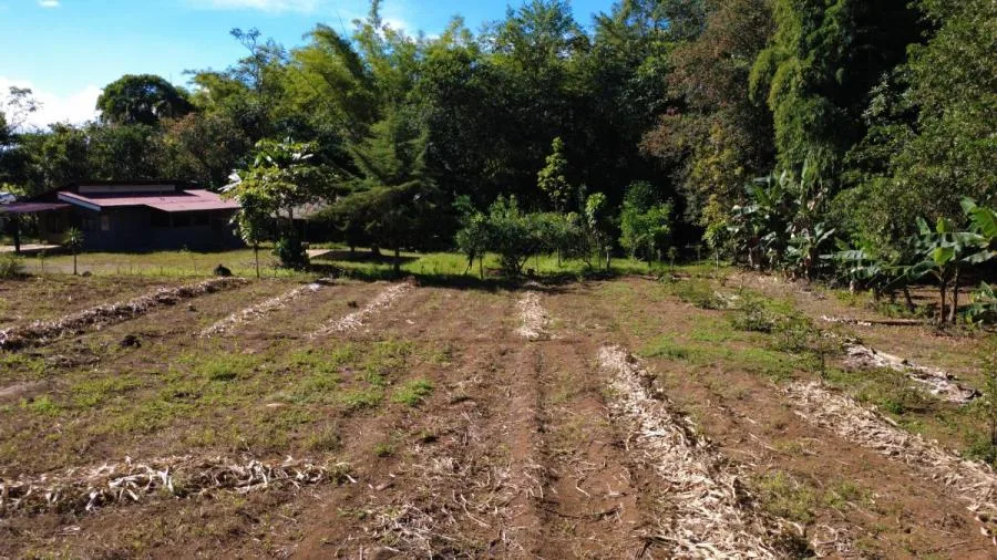 LOTE PLANO EN VENTA EN LAS MERCEDES DE CAJÓN, PÉREZ ZELEDÓN – 3.121 m² CON RÍO - Venta en Perez Zeledón — photo 4