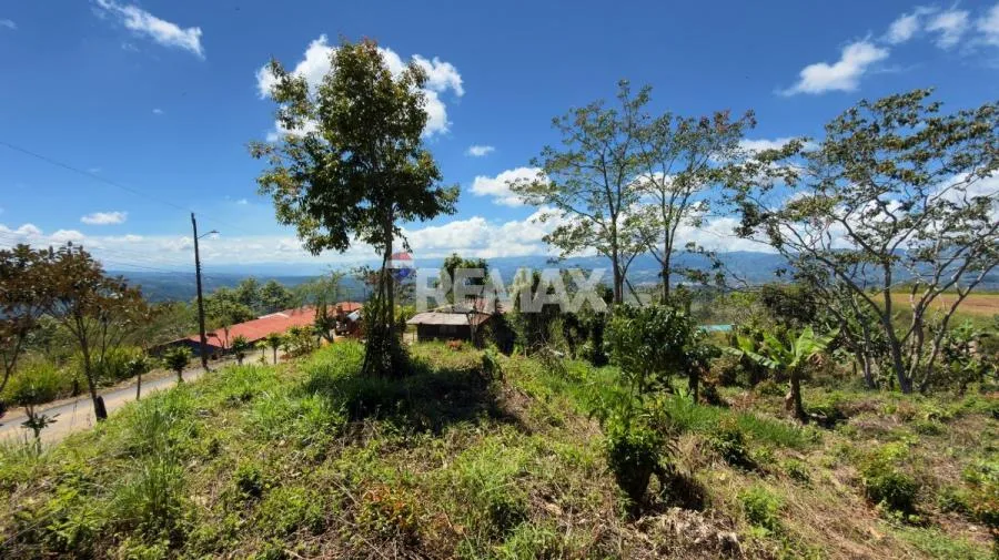 LOTE EN VENTA EN MIRAVALLES, PÉREZ ZELEDÓN – 1,066 m² CON VISTA Y QUEBRADA - Venta en Perez Zeledón