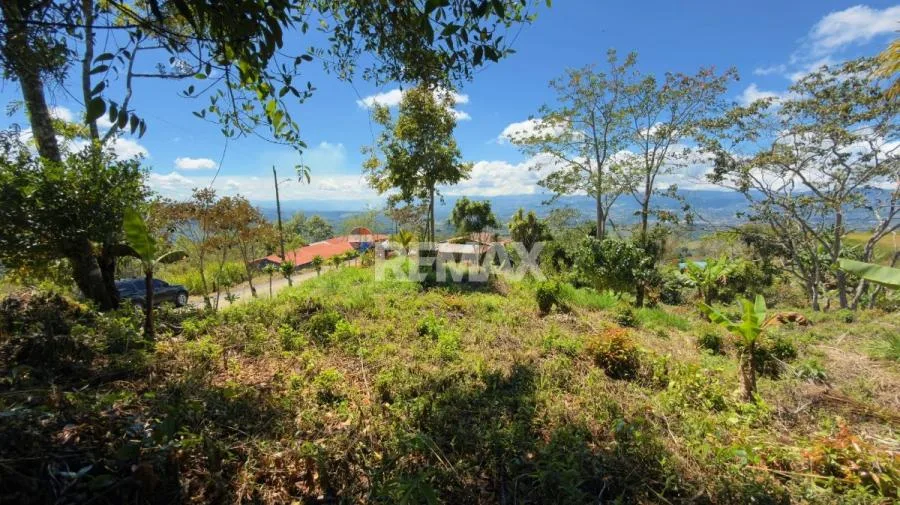 LOTE EN VENTA EN MIRAVALLES, PÉREZ ZELEDÓN – 1,066 m² CON VISTA Y QUEBRADA - Venta en Perez Zeledón — photo 2