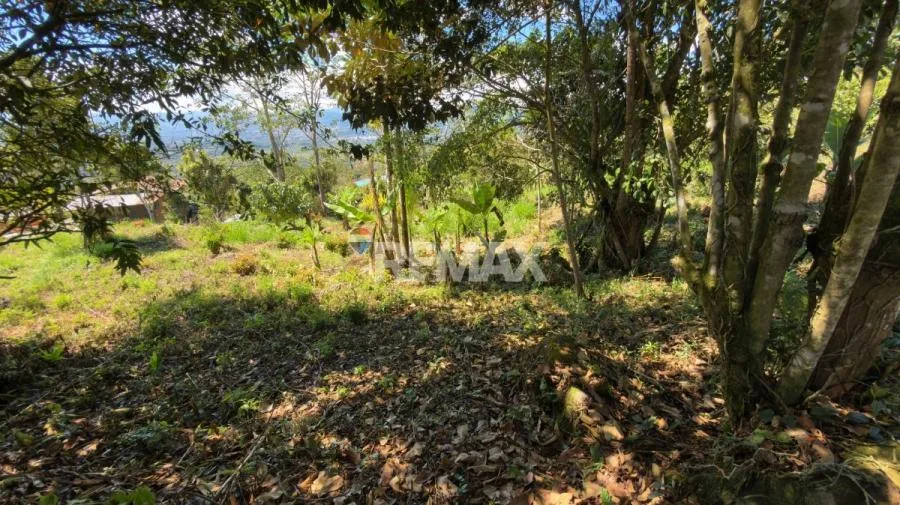 LOTE EN VENTA EN MIRAVALLES, PÉREZ ZELEDÓN – 1,066 m² CON VISTA Y QUEBRADA - Venta en Perez Zeledón — photo 5