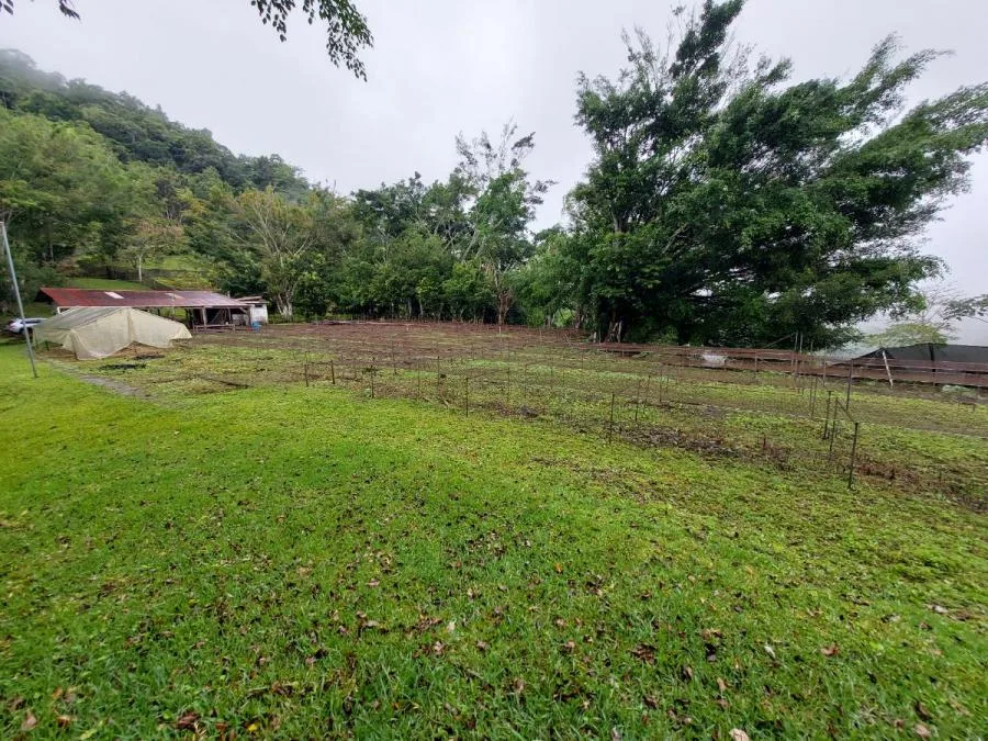Venta FINCA casi 10 HECTAREAS Turrialba - Venta en Turrialba