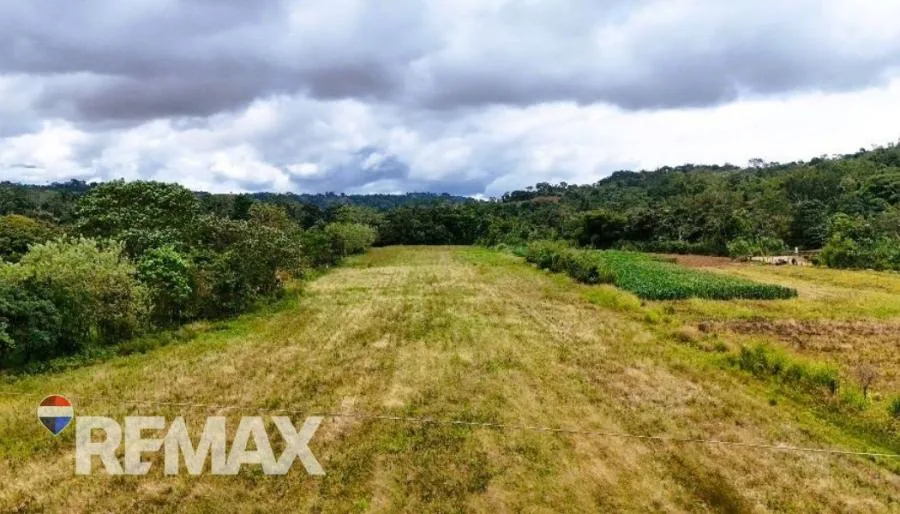 PROPIEDAD EN VENTA EN EL ROSARIO DE PACUAR, PZ OPORTUNIDAD DE INVERSIÓN - Venta en Perez Zeledón — photo 2