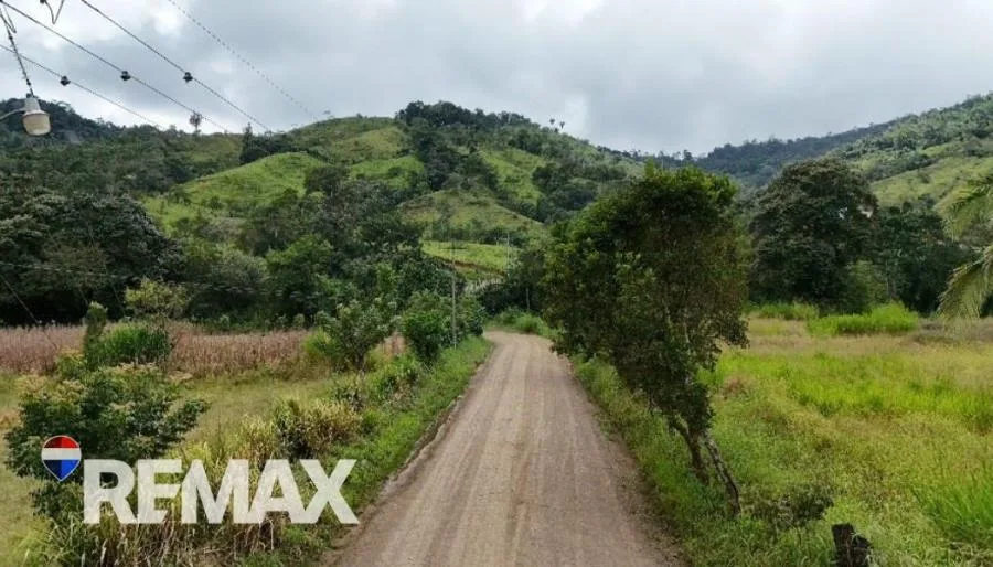 PROPIEDAD EN VENTA EN EL ROSARIO DE PACUAR, PZ OPORTUNIDAD DE INVERSIÓN - Venta en Perez Zeledón — photo 4