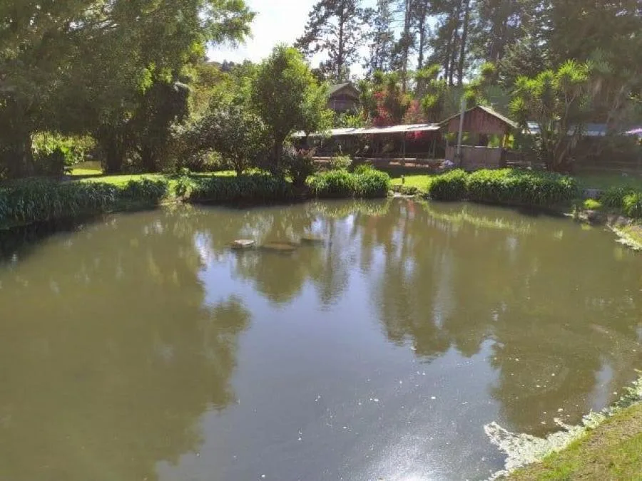 Venta de Propiedad Comercial en Vázquez de Coronado. - Venta en Vasquez de Coronado — photo 2