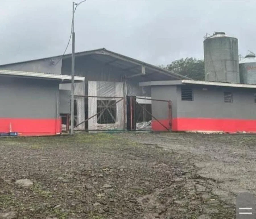 ¿Cómo esta finca ya productiva puede maximizar tus ingresos? - Venta en Río Cuarto