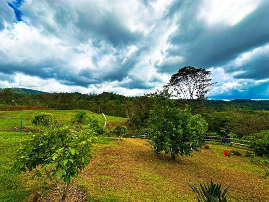 Venta de Maravillosa Casa en Pérez Zeledón / Mls. 26-985 OFC JB - Venta en Perez Zeledón — photo 5