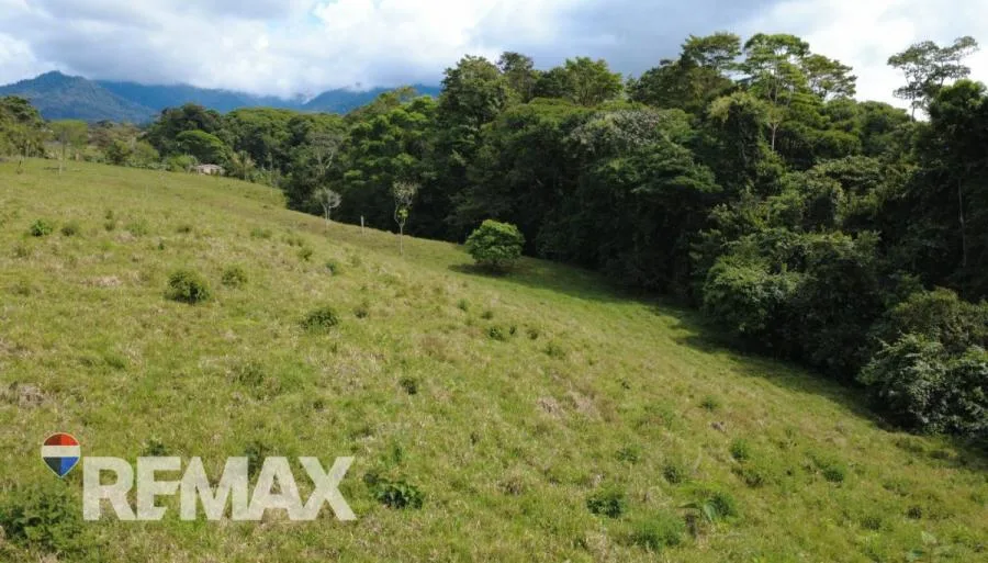 FINCA EN VENTA EN QUIZARRÁ, PÉREZ ZELEDÓN – 24.113 m² CON ALTO POTENCIAL - Venta en Perez Zeledón — photo 2